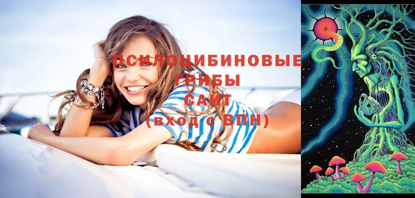 спиды Алзамай