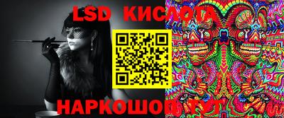 spice Заволжье