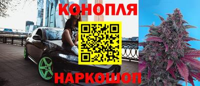 стаф Жуковский