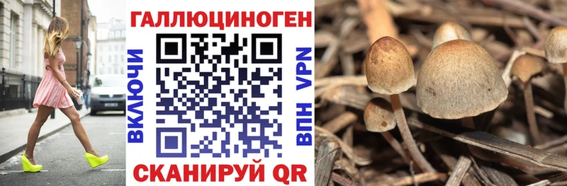 Галлюциногенные грибы Cubensis Гуково
