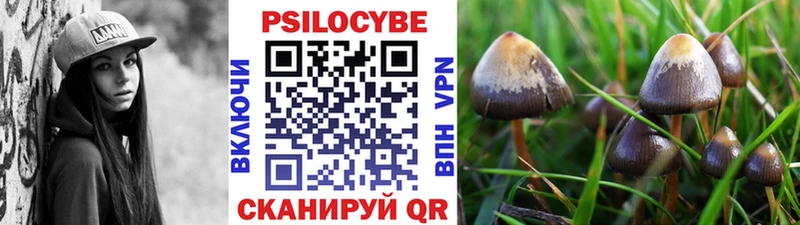 Галлюциногенные грибы Cubensis Гуково